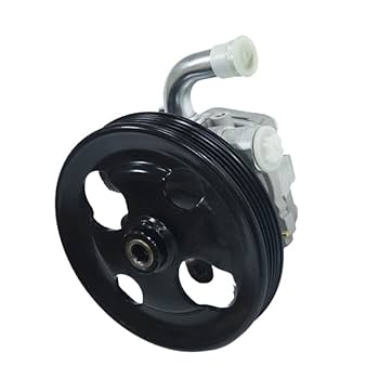 Amazon.com: lirufeng New Power Steering Pump 49100-66J00
